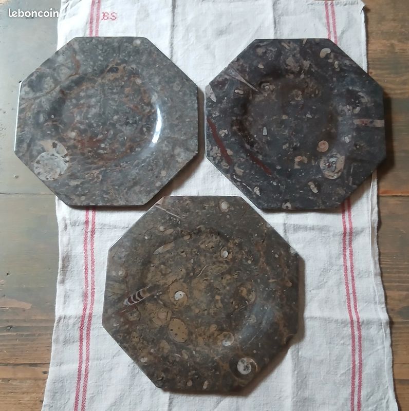 Assiette fossile (image 9)