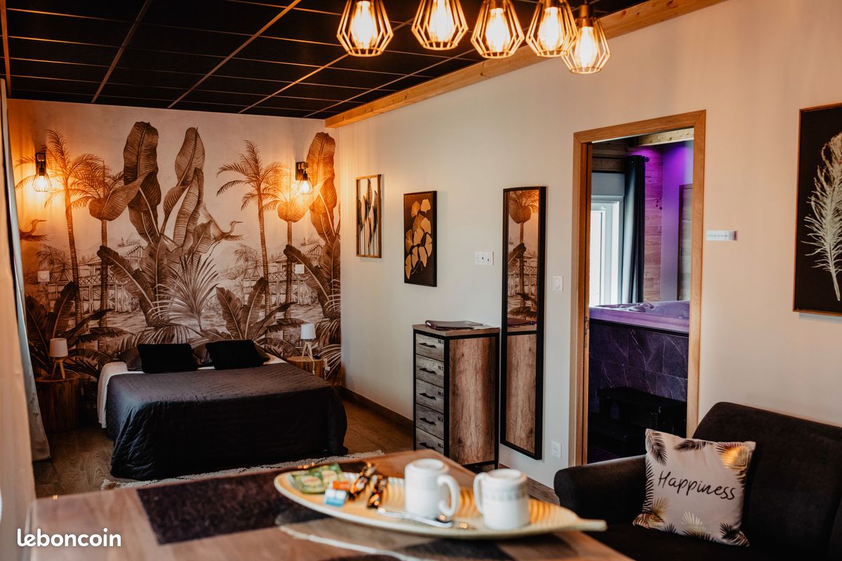 Loue gîte avec spa sauna et hammam (image 1)