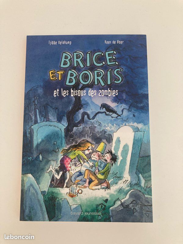 Livre Brice et Boris (image 1)