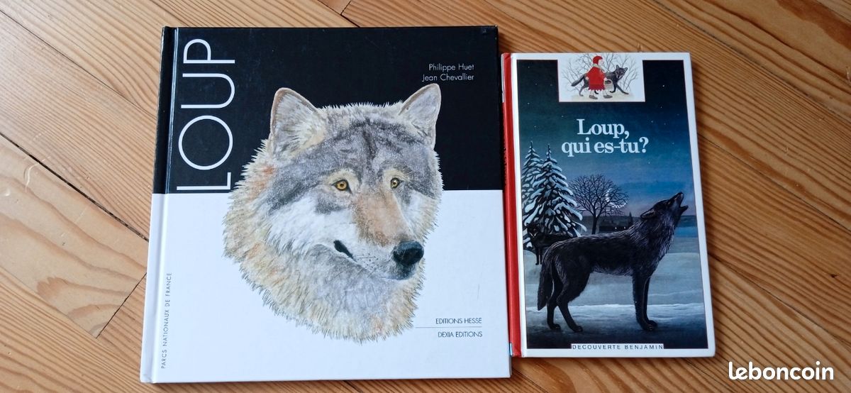 Lot de 2 livres jeunesse les loups (image 1)