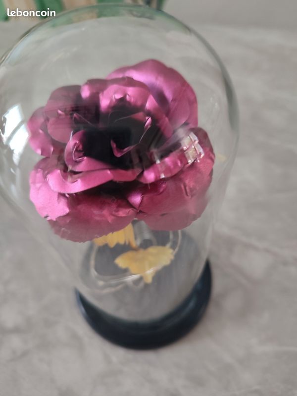 Rose sous globe en verre couleur fushia (image 3)