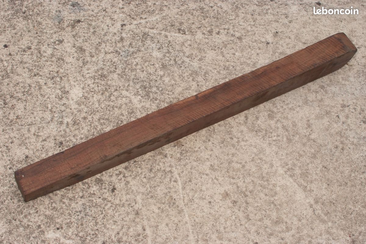 Ebauche Noyer 80 cm (image 2)