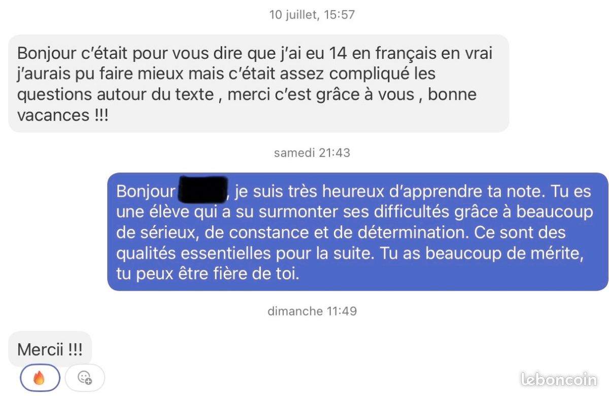Cours particuliers français par enseignant expérimenté – Reims (image 2)