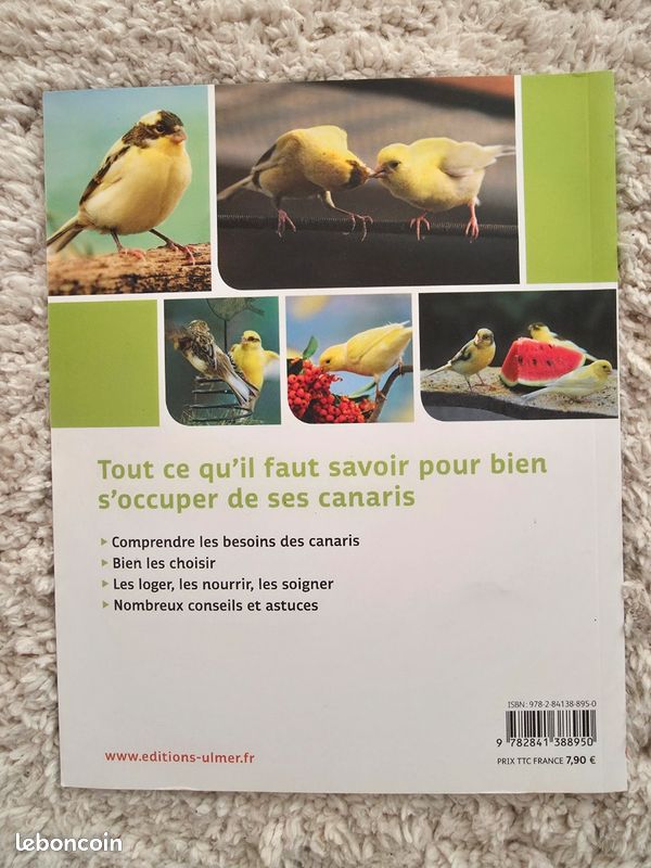 Canaris (image 3)