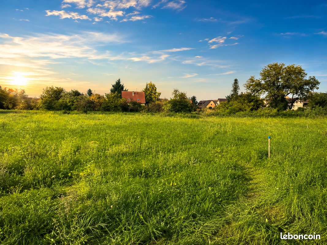 Oup de cœur assuré – Terrain 1250 m² dans un cadre exceptionnel · à Bischwiller · 159 000 €