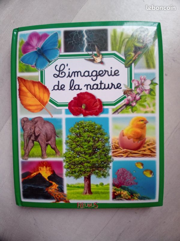 Livre enfants (image 2)