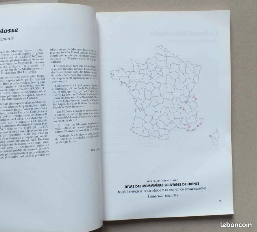 Atlas des mammiferes sauvages de france - sfepm - 1984 (image 4)
