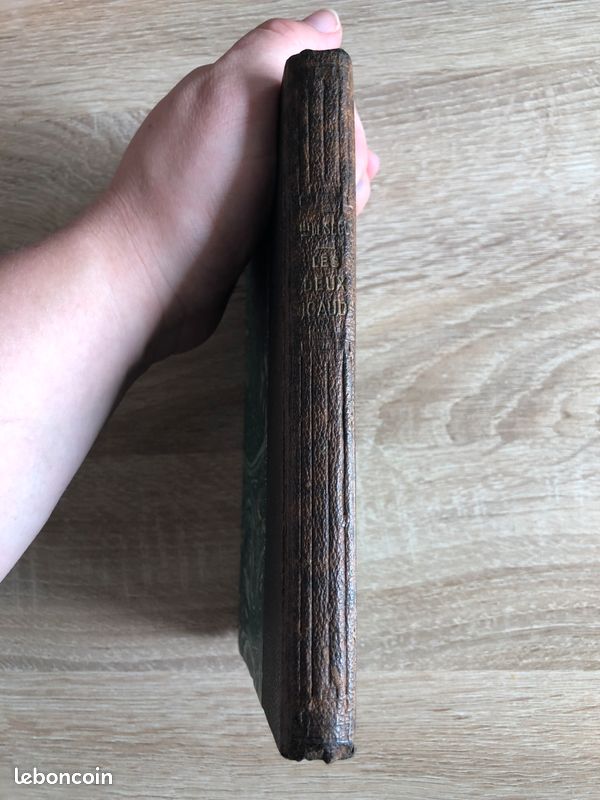 Livre Les deux nigauds de la Comtesse de Ségur BE (image 5)