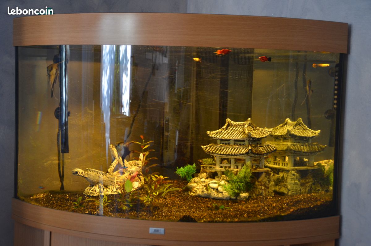 Aquarium juwel trigon 190 led chêne clair + meuble (image 2)
