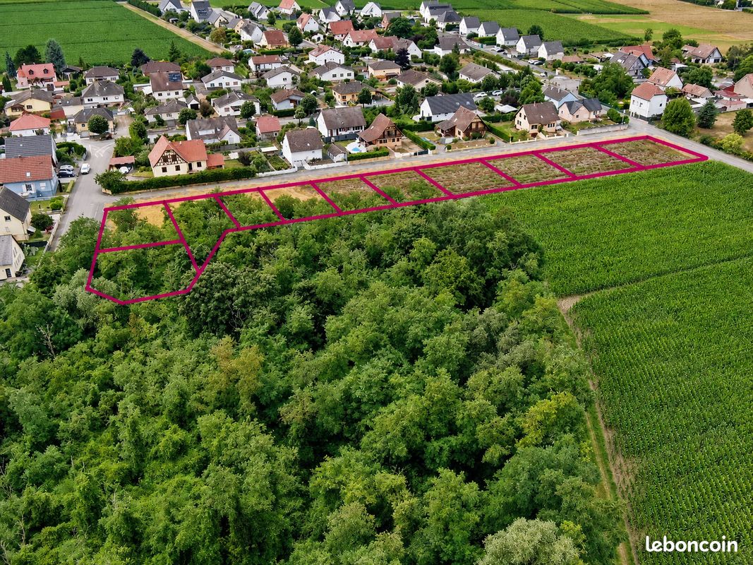 Terrain viabilisé - Libre de constructeur - Proche Allemagne · à Algolsheim · 76 600 €