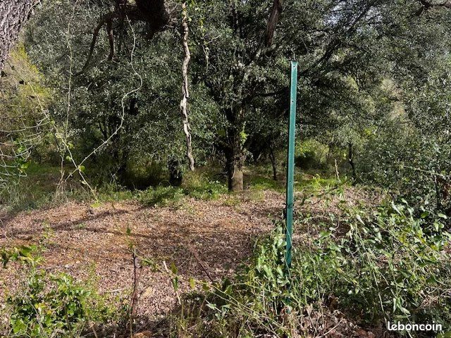 Terrain 6290 m² Le Bosc (image 4)