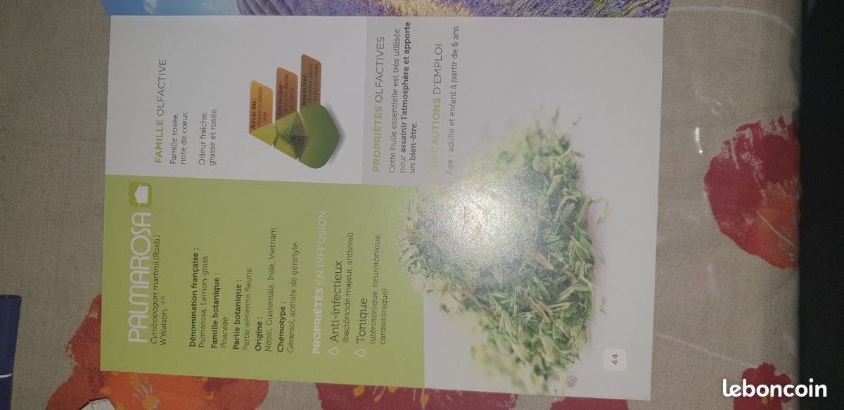 Précis olfactotherapie (image 3)