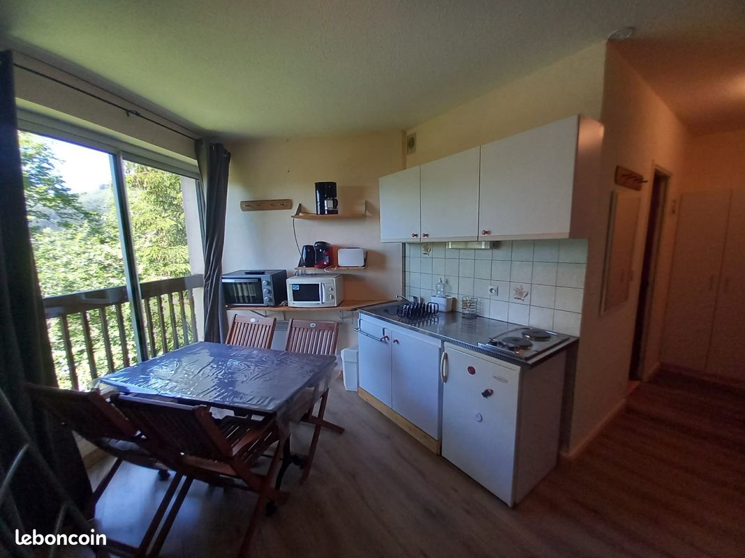 Appartement 1 pièce 21 m² · à Laveissière · 21 m² · 45 780 €