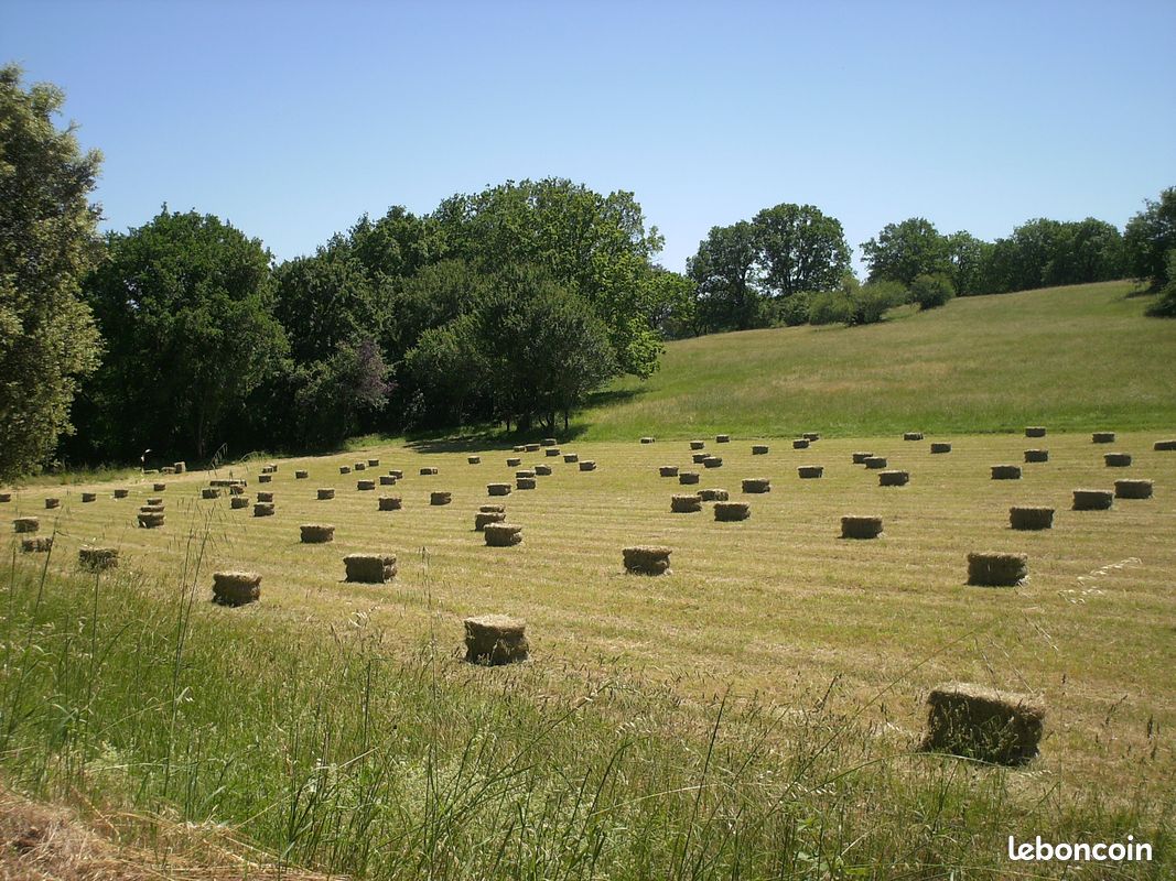 Monte botte ou bois - Matériel agricole