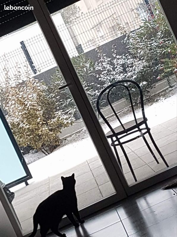 Appartement 2 pièces 47 m² · à Montpellier · 47 m² · 220 000 €