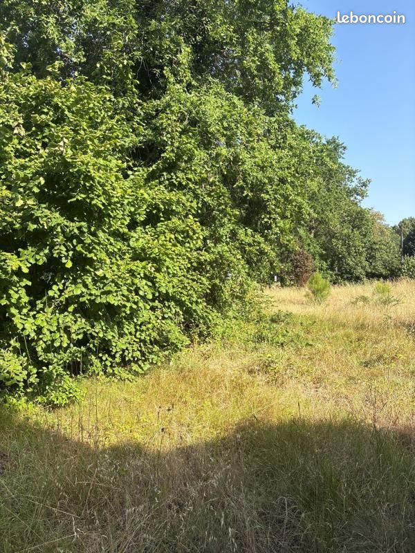 Terrain 541 m² Gradignan · 195 000 €