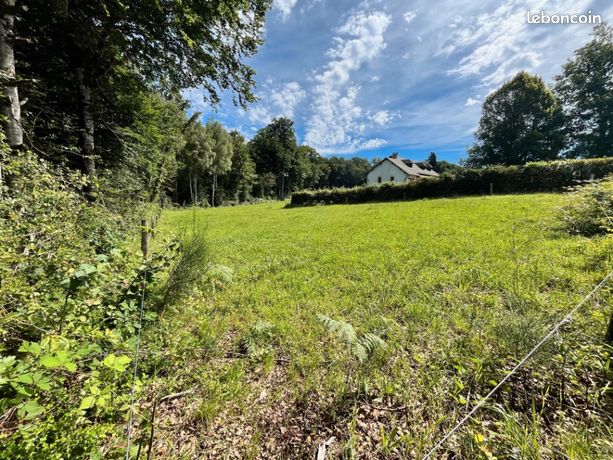 Terrain 1 444 m² Roannes Saint Mary