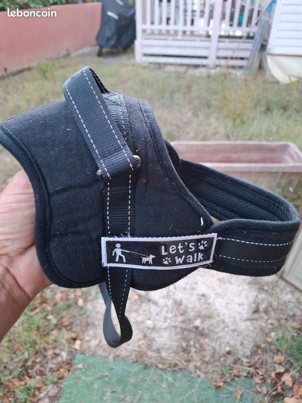 Harnais taille S (image 1)