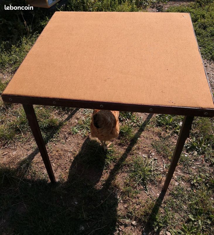 Table de jeu ancienne (image 2)