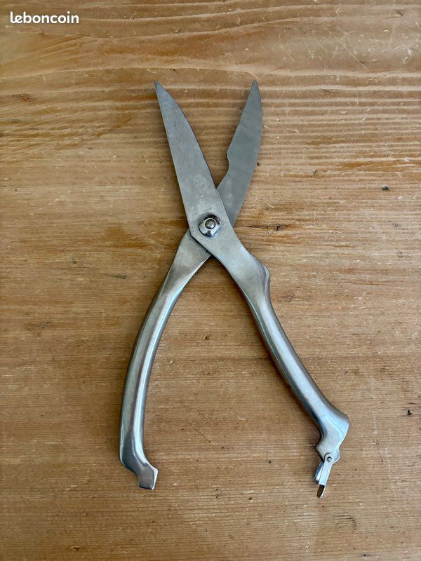 Cisaille a main Zwilling - 42931-000 -0 Secateur a volaille avec clou