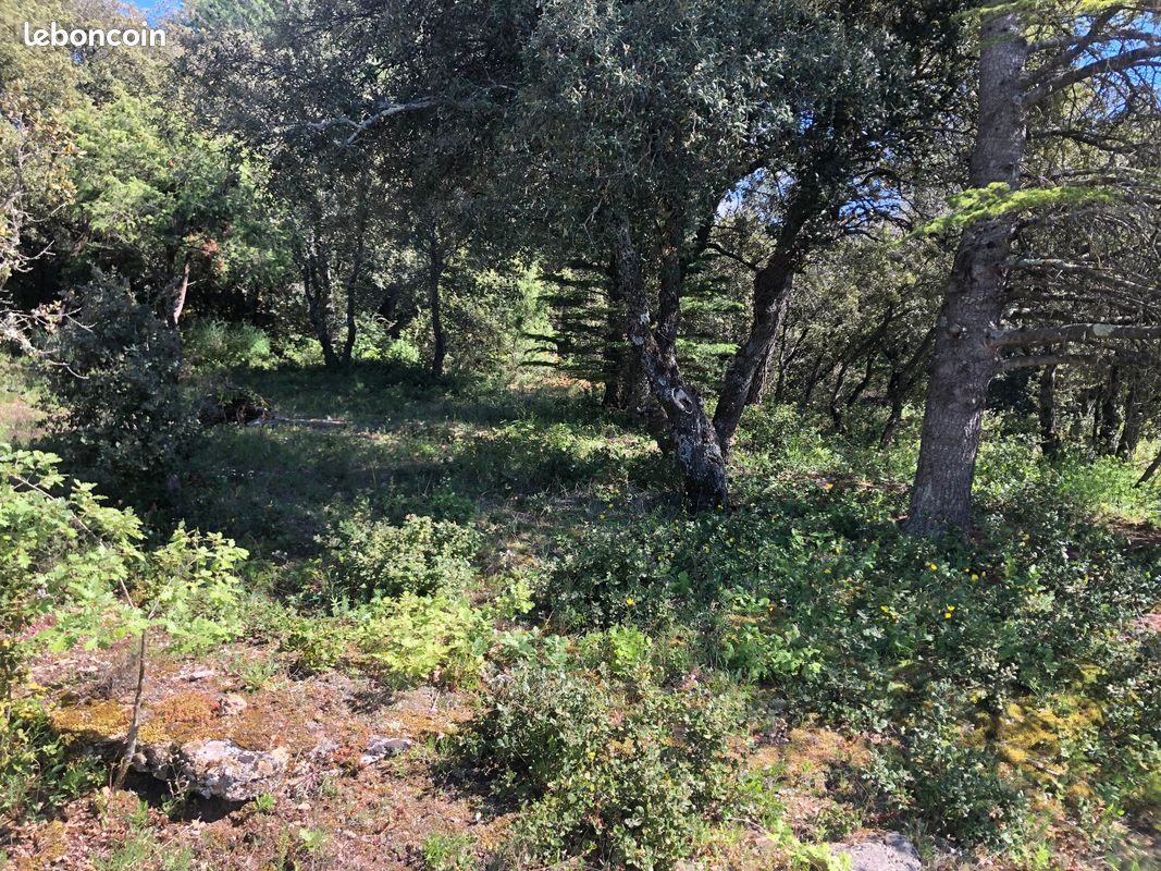 Terrain 13 700 m² Simiane La Rotonde · à Simiane-la-Rotonde · 22 000 €