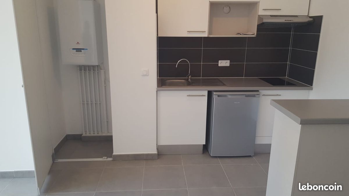 Appartement Houilles 54m2 habitables + Terrasse 20m2 minimum + mini jardin (image 4)