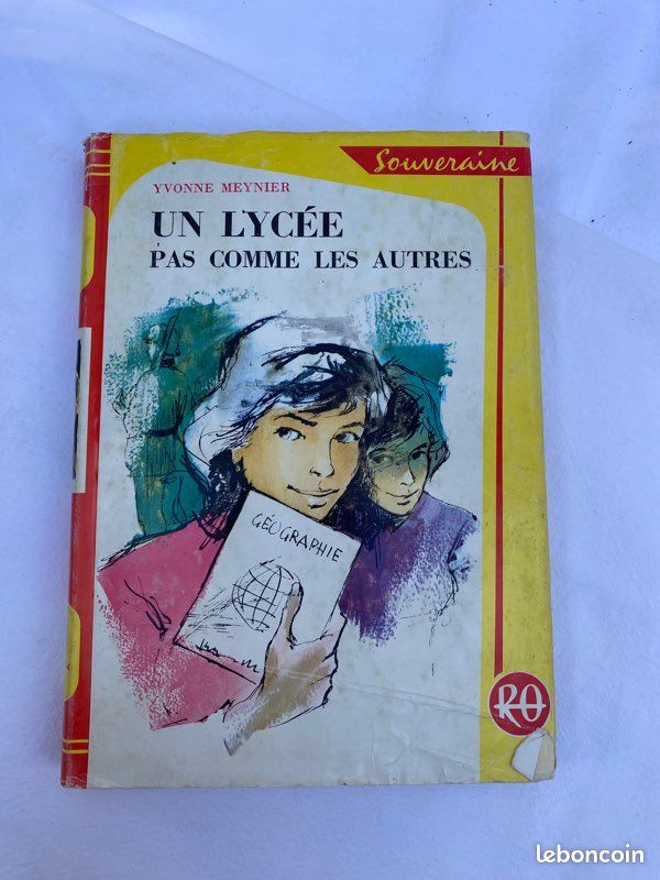 Livre pour enfant Un lycée pas comme les autres (image 1)