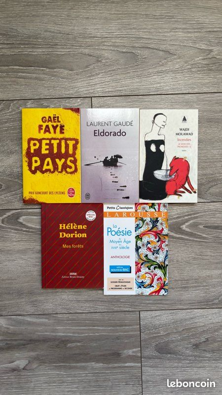 Lot de livres ( Incendies, Eldorado, Mes forets, Petit Pays, La poésie du Moyen age au 18e) (image 1)