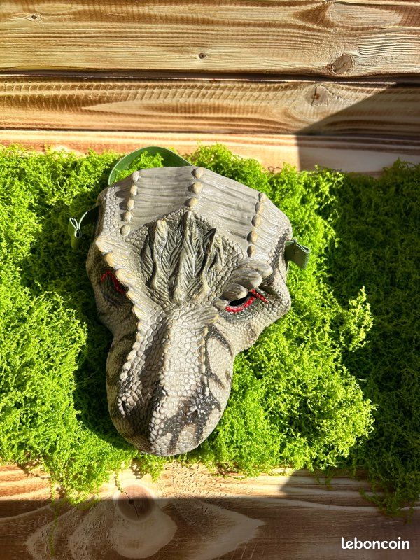 Décorations anniversaire Thème Dinosaures (image 10)