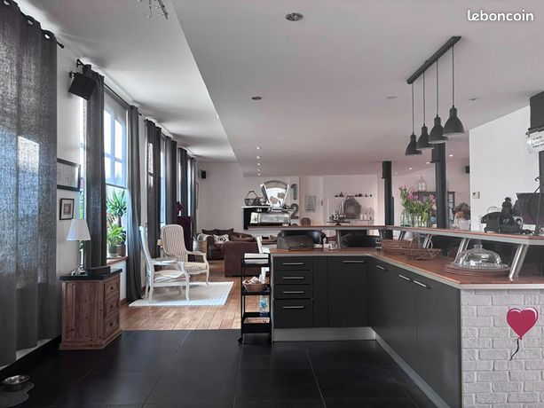 Loft/atelier/surface 12 pièces 340 m²