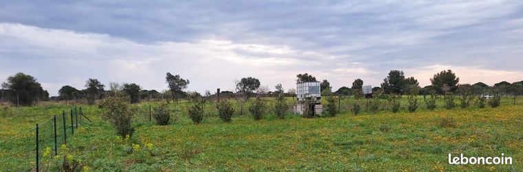 Terrain de jardinage ou terrain de loisirs, Vauvert (30600)