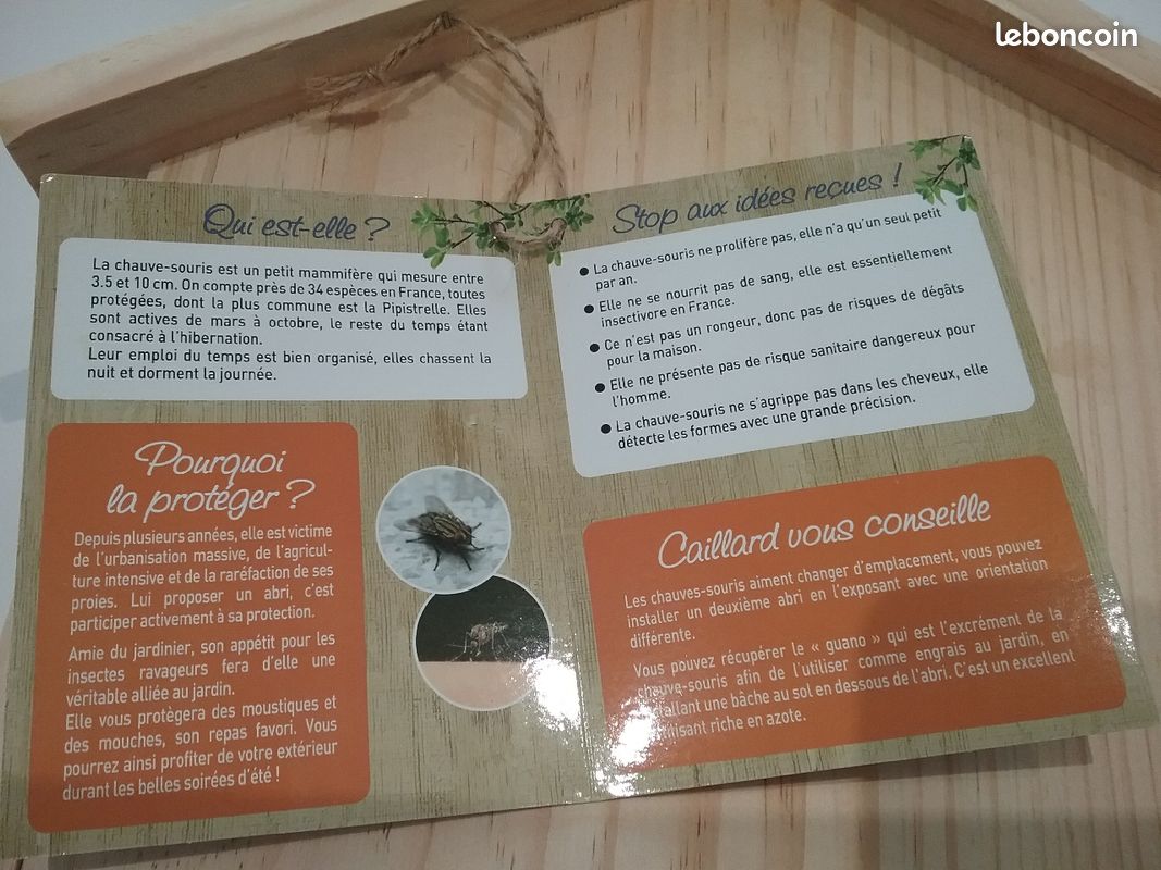 Abri chauve-souris (image 3)