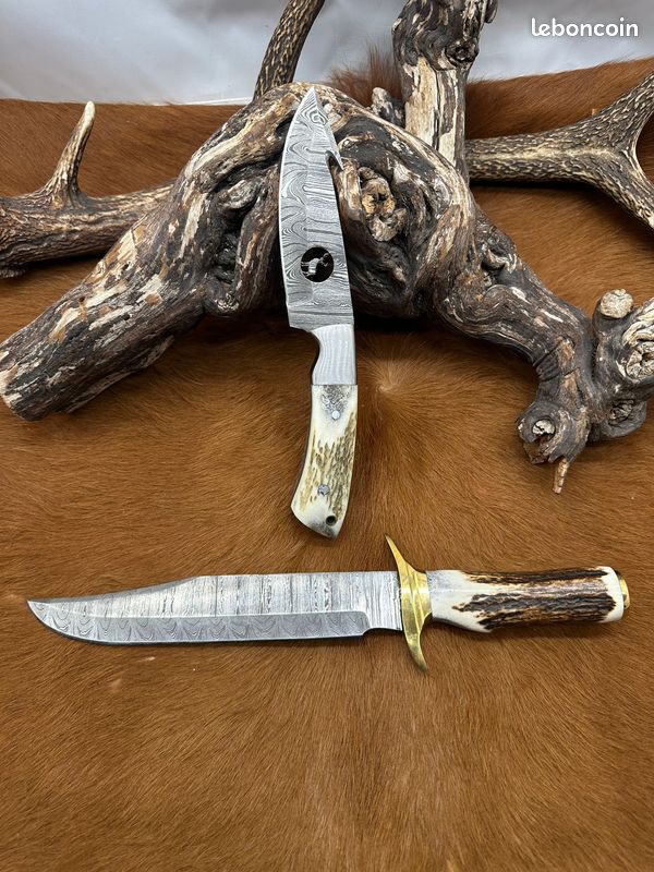 Couteau Rite Edge Venison Hunter Manche Os & Bois De Cerf Lame Acier Inox Etui Cuir Pa8028 Item 11627152