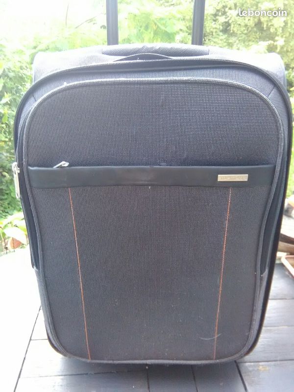 Valise Top Love grise bleutée (image 1)