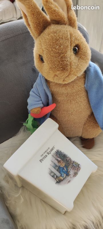 Rare : Pot de Fleurs " The world of Peter Rabbit" (image 2)