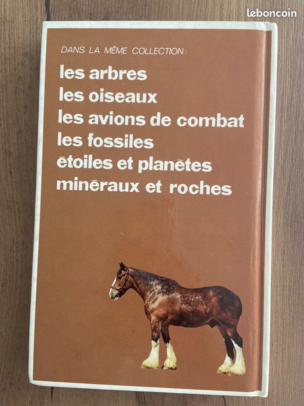 Chevaux et poneys (image 3)