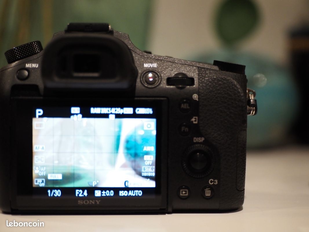 Sony Rx10 mark IV (image 5)