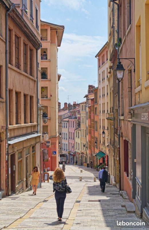 Sous Location jardin des plantes/hôtel de ville Lyon Locations