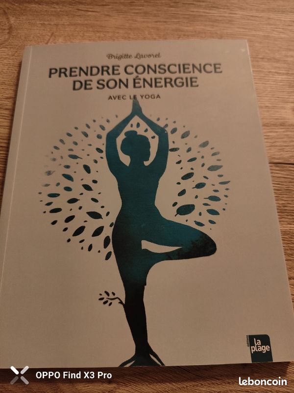 Livre de Brigitte Lavorel - Prendre conscience de son énergie avec le yoga (image 2)
