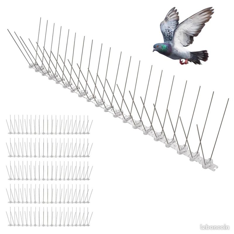Anti-pigeons (image 1)