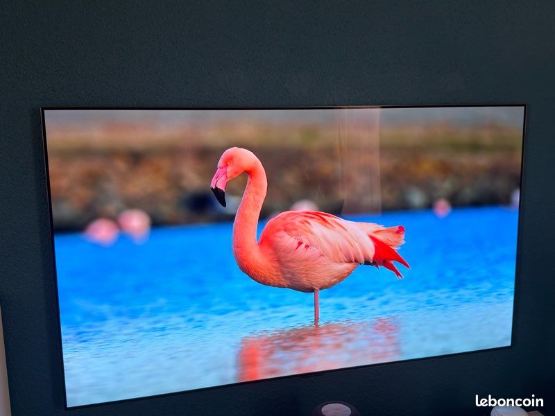 LG OLED G1 65" + carton origine (image 5)