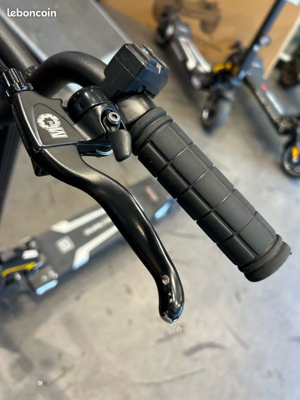 Trotinette électrique Dualtron Togo (image 2)