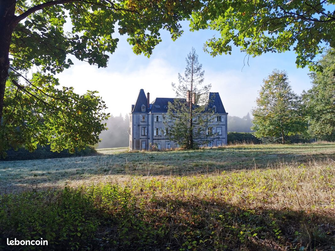 Château 20 pièces 1700 m² - Limoges 87000 (image principale 1)