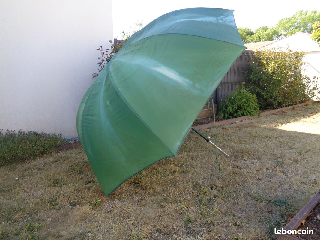 Parasol (image 2)