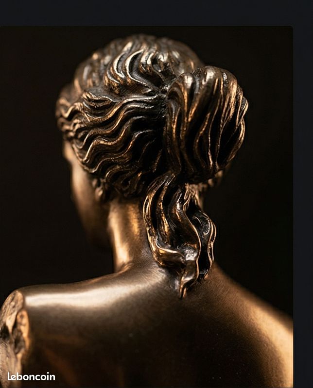 Statue Vénus de Milo 26 cm – Finition bronze – Sculpture décorative classique avec boîte d’origine (image 7)