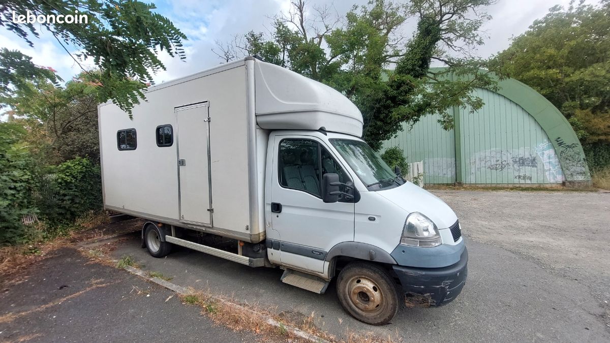 Renault mascott (image 1)