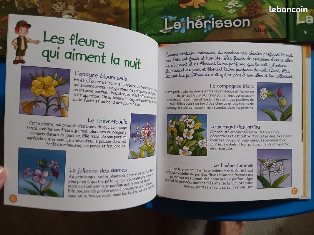 URGENT lot livres enfants (image 4)