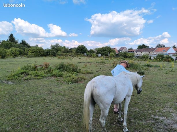 Vend terrain constructible Vieux-Condé (59)