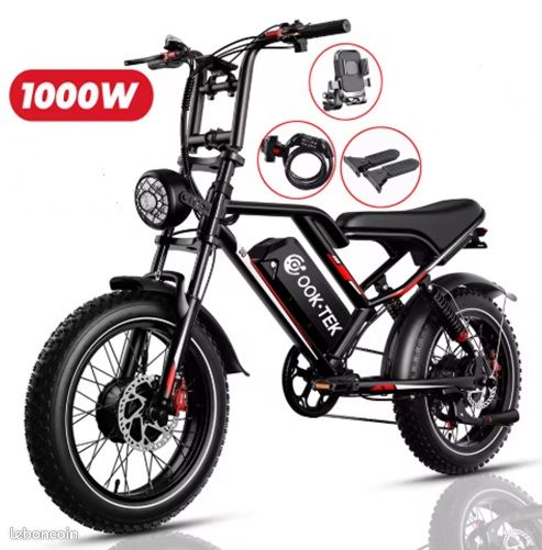 Lot De 10 Rayons De Vélo Électrique 12G (2,5 Mm) Pour VTT Fat Bike - Kit Conversion Roue Avant Arrière