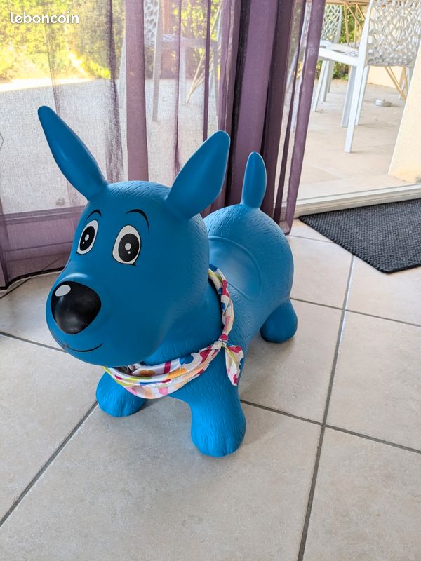 Chien sauteur Ludi (image 1)